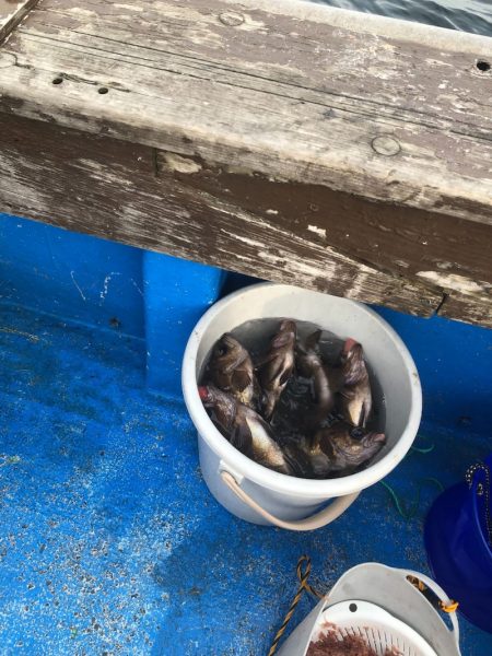 海龍丸（石川） 釣果