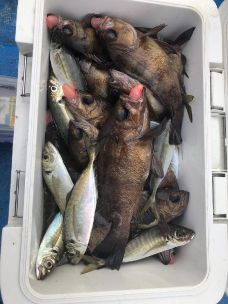 海龍丸（石川） 釣果