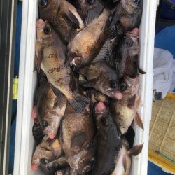 海龍丸（石川） 釣果