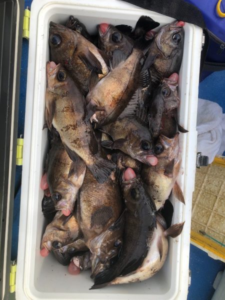 海龍丸（石川） 釣果