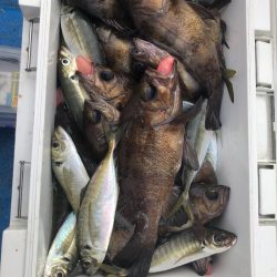 海龍丸（石川） 釣果