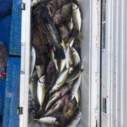 海龍丸（石川） 釣果