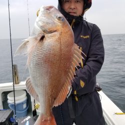 アマテラス 釣果