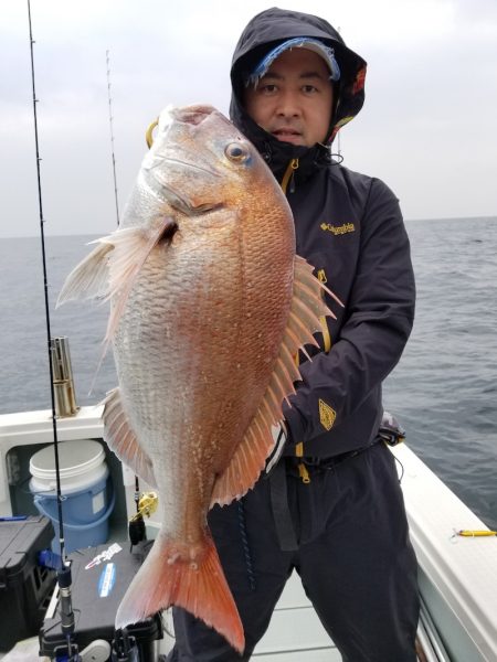 アマテラス 釣果