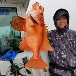 アマテラス 釣果