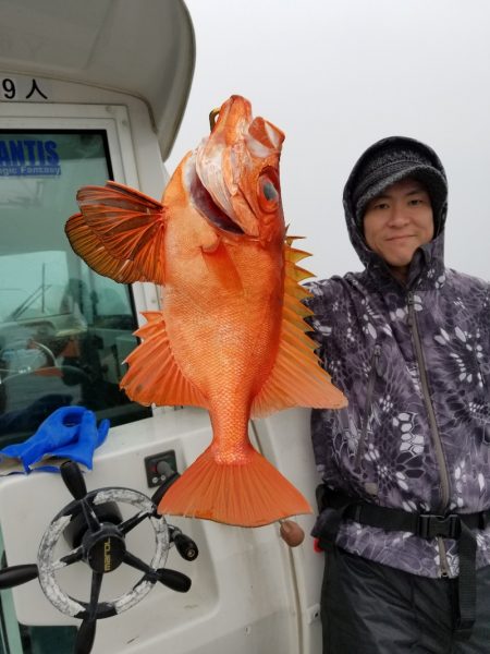 アマテラス 釣果