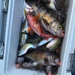 海龍丸（石川） 釣果