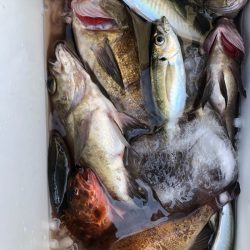 海龍丸（石川） 釣果