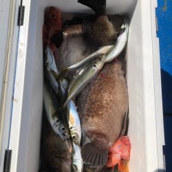 海龍丸（石川） 釣果