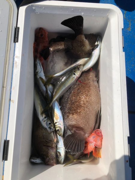 海龍丸（石川） 釣果