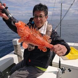 エンペラー 釣果