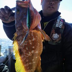 光生丸 釣果