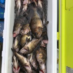 海龍丸（石川） 釣果