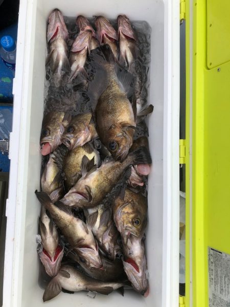 海龍丸（石川） 釣果