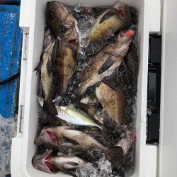 海龍丸（石川） 釣果