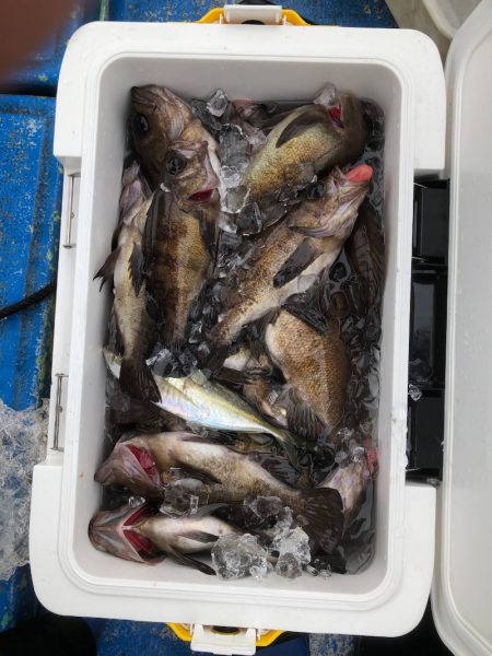 海龍丸（石川） 釣果