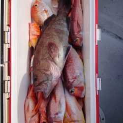 エンペラー 釣果