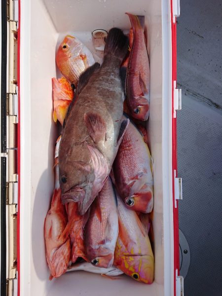 エンペラー 釣果