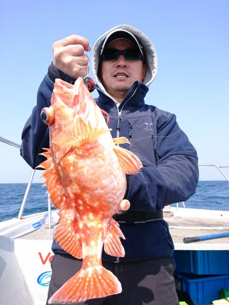 ブルースフィッシングサービス 釣果