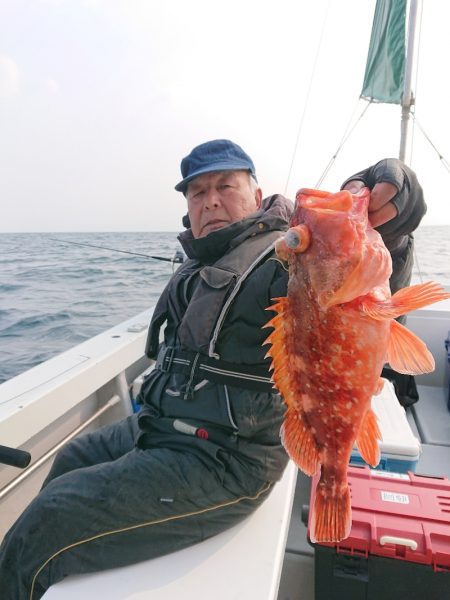 エンペラー 釣果