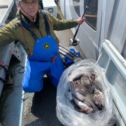 シーランチ 釣果