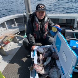 シーランチ 釣果