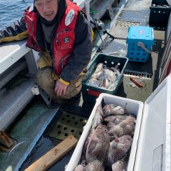 シーランチ 釣果