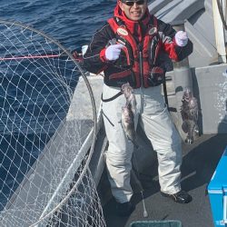 シーランチ 釣果