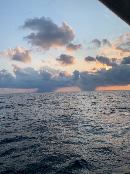 シーランチ 釣果