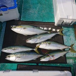 清和丸 釣果