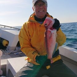 エンペラー 釣果