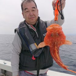 エンペラー 釣果