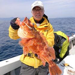 エンペラー 釣果