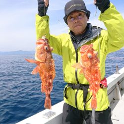 エンペラー 釣果