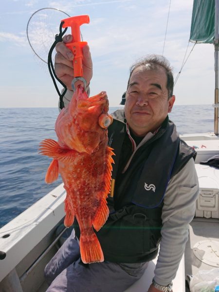 エンペラー 釣果