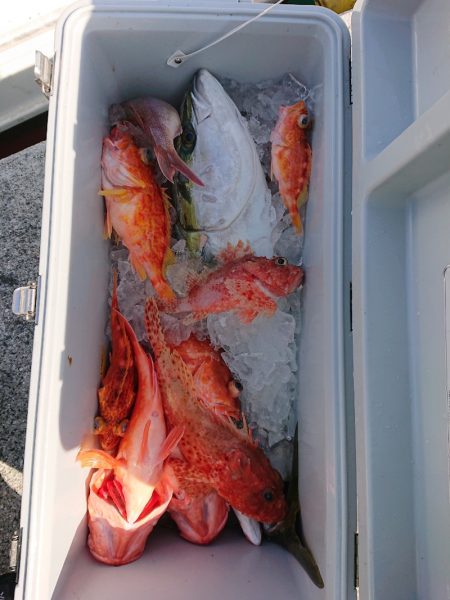 エンペラー 釣果