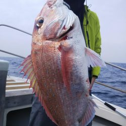 光生丸 釣果