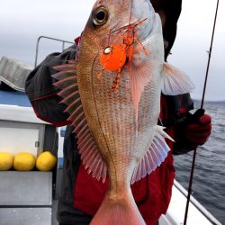 渡船屋たにぐち 釣果
