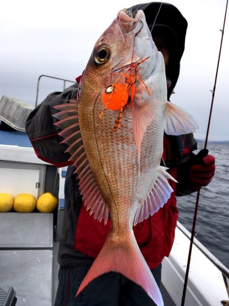 渡船屋たにぐち 釣果