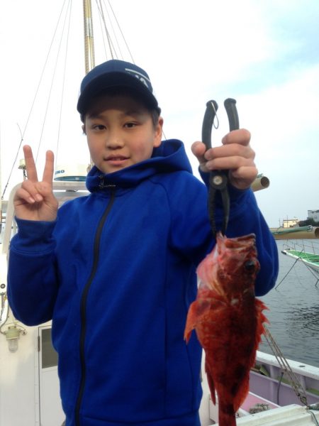 晃山丸 釣果