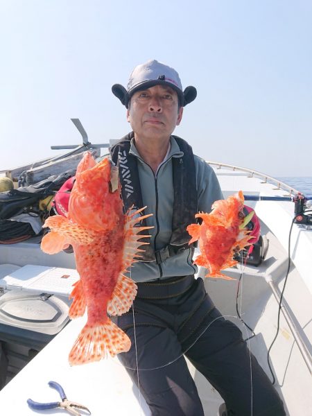 エンペラー 釣果