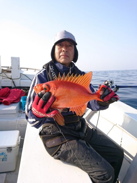 エンペラー 釣果