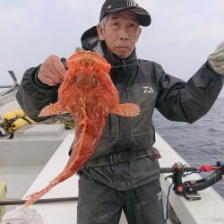 エンペラー 釣果