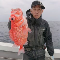 エンペラー 釣果