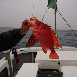 エンペラー 釣果