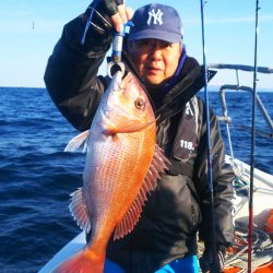 ブルドック 釣果