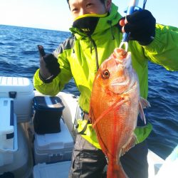 ブルドック 釣果