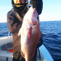 ブルドック 釣果