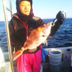 ブルドック 釣果