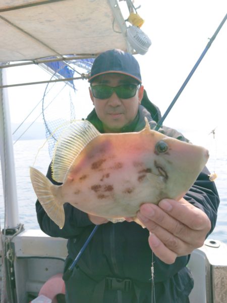 ブルースフィッシングサービス 釣果